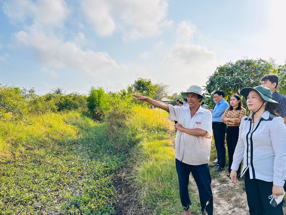 Chủ tịch Ủy ban nhân dân thành phố Bạc Liêu Lê Kim Thúy (nữ đội mũ tai bèo) thăm mô hình sản xuất nông nghiệp của hộ nông dân người Khmer ở xã Vĩnh Trạch Đông. (Ảnh: TRỌNG DUY)