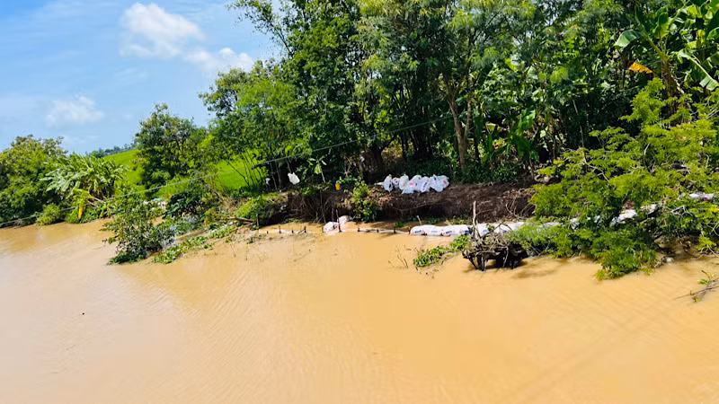 Nhiều hộ dân dùng các biện pháp thủ công, như đặt bao cát nhằm chống sạt lở, nhưng không đem lại hiệu quả. Nhiều hộ dân dùng các biện pháp thủ công, như đặt bao cát nhằm chống sạt lở, nhưng không đem lại hiệu quả.