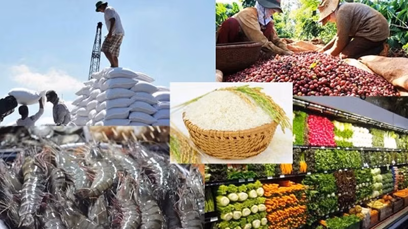 Các mặt hàng xuất khẩu của Việt Nam sang EU.