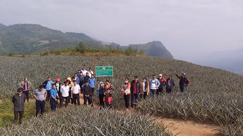 Dự án khuyến nông hỗ trợ nông dân. Dự án khuyến nông hỗ trợ nông dân.