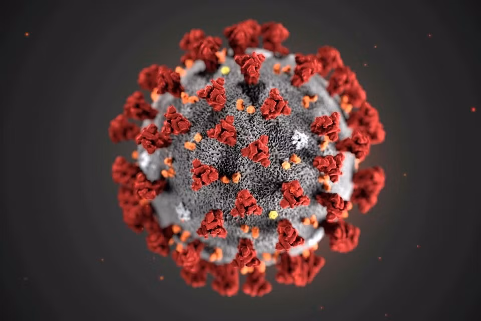 Virus SARS-CoV-2. Ảnh: Reuters