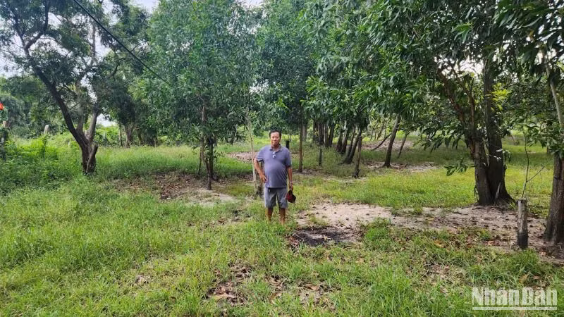 Lô đất tranh chấp.