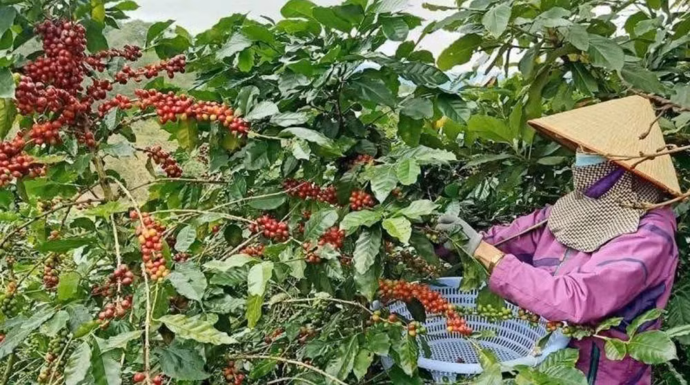 Ảnh minh họa.
