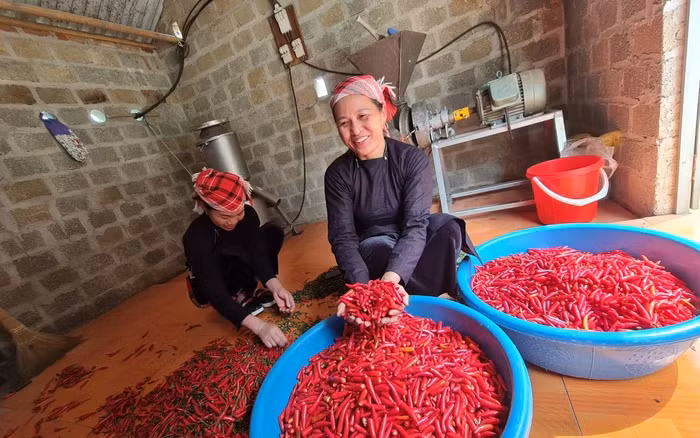 Chị Lê Thị Năm (huyện Văn Bàn, tỉnh Lào Cai) dùng công nghệ số để giới thiệu và bán sản phẩm. (Ảnh: Báo Phụ nữ Việt Nam)
