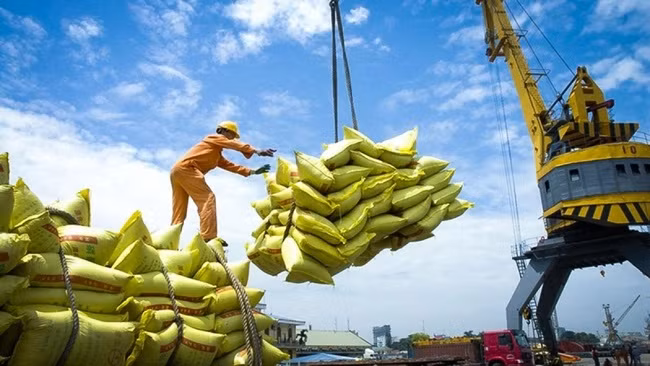 Năm 2025 có nhiều cơ hội và thách thức trong việc nâng cao giá trị kim ngạch xuất khẩu nông lâm thủy sản.