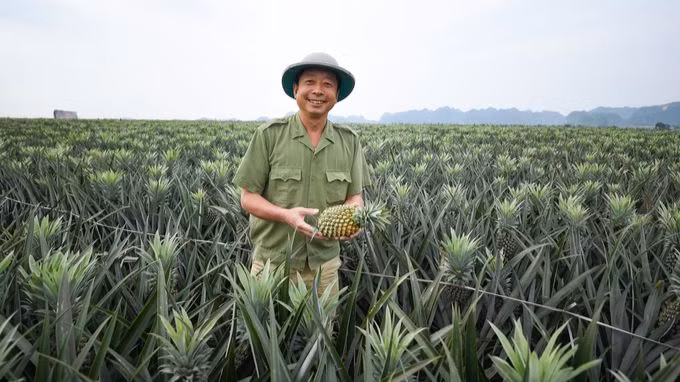 Rau quả là mặt hàng thế mạnh của Việt Nam, hiện có mặt trên hơn 60 thị trường. (Ảnh Nongnghiep.vn) Rau quả là mặt hàng thế mạnh của Việt Nam, hiện có mặt trên hơn 60 thị trường. (Ảnh Nongnghiep.vn)