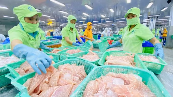 Thủy sản Việt Nam hiện đã có mặt trên 170 quốc gia, vùng lãnh thổ. (Ảnh Nongnghiep.vn) Thủy sản Việt Nam hiện đã có mặt trên 170 quốc gia, vùng lãnh thổ. (Ảnh Nongnghiep.vn)