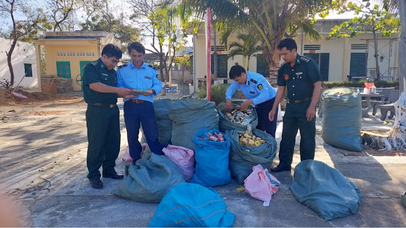 Lực lượng chức năng tỉnh Ninh Thuận phối hợp xử lý thuốc lá nhập lậu.