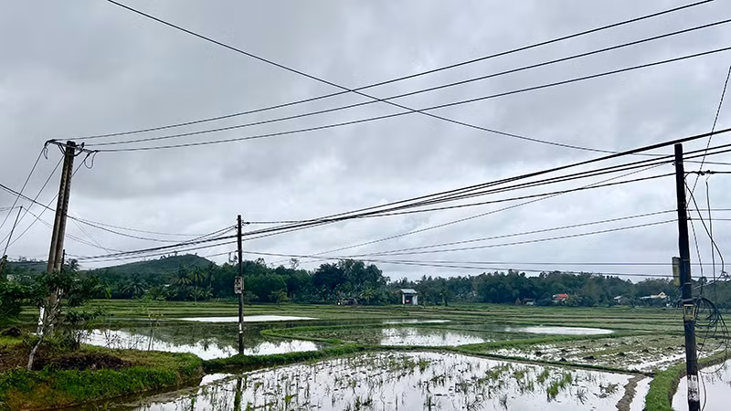Hạ tầng lưới điện ở nông thôn Quảng Nam còn hạn chế, chưa đáp ứng được yêu cầu ngày càng tăng cao của người dân. Hạ tầng lưới điện ở nông thôn Quảng Nam còn hạn chế, chưa đáp ứng được yêu cầu ngày càng tăng cao của người dân.