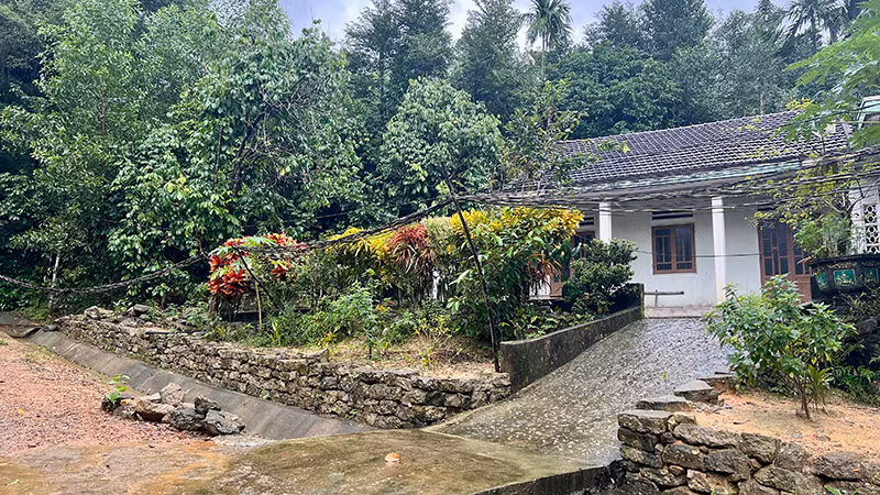 Nhiều dây điện mắc chằng chịt chạy sát trước nhà người dân. Nhiều dây điện mắc chằng chịt chạy sát trước nhà người dân.