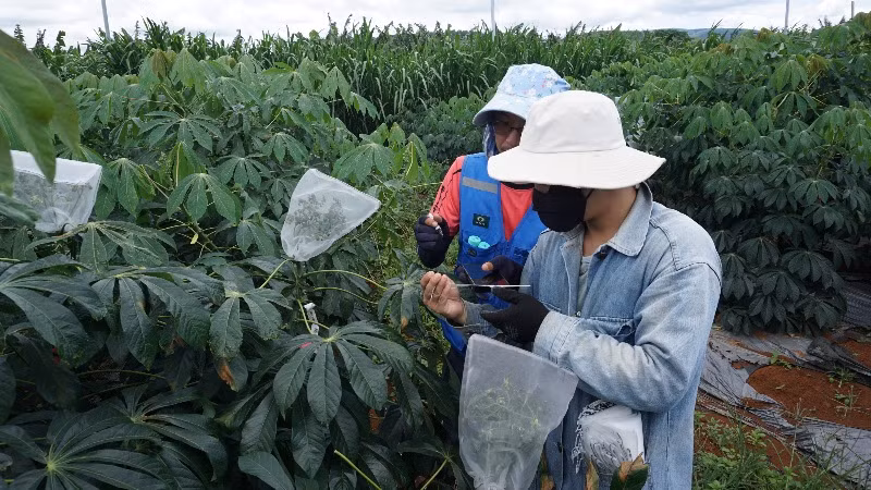 Các chuyên gia nghiên cứu của Dự án "Các hệ thống sản xuất kháng bệnh bền vững ở khu vực Mekong". Các chuyên gia nghiên cứu của Dự án "Các hệ thống sản xuất kháng bệnh bền vững ở khu vực Mekong".