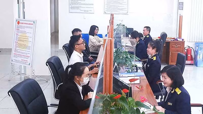 Cán bộ cơ quan thuế tỉnh Lâm Đồng thực thi nhiệm vụ quản lý thuế.