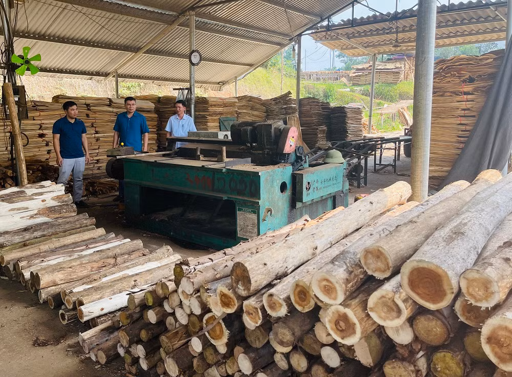 Tín dụng chính sách xã hội giúp người dân xã Bảo Ái, huyện Yên Bình phát huy hiệu quả. (Ảnh: THANH SƠN) Tín dụng chính sách xã hội giúp người dân xã Bảo Ái, huyện Yên Bình phát huy hiệu quả. (Ảnh: THANH SƠN)