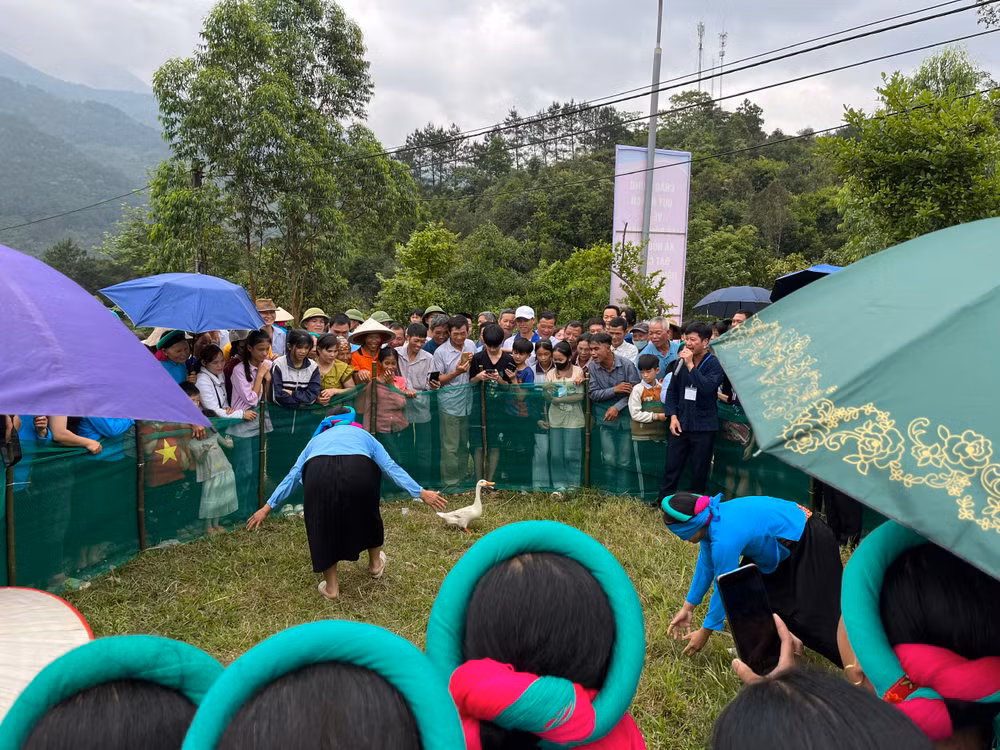 Trò chơi bịt mắt bắt vịt.