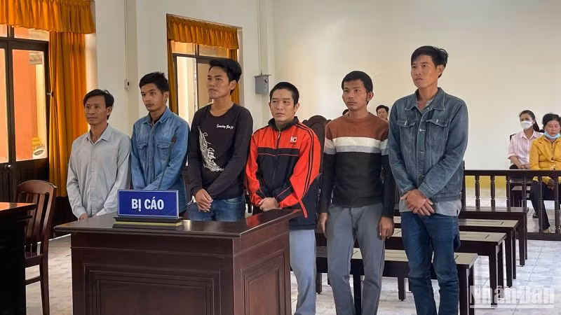 Các bị cáo tại phiên tòa.