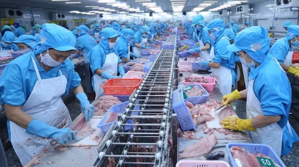 Ảnh minh họa: Chế biến thủy sản xuất khẩu. (Nguồn: TTXVN)