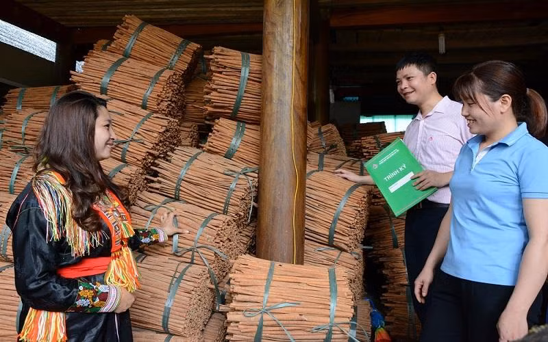 Cán bộ tín dụng kiểm tra nguồn vốn vay tại hộ chị Triệu Thị Tính, xã Tân Phượng, huyện Lục Yên (Yên Bái).