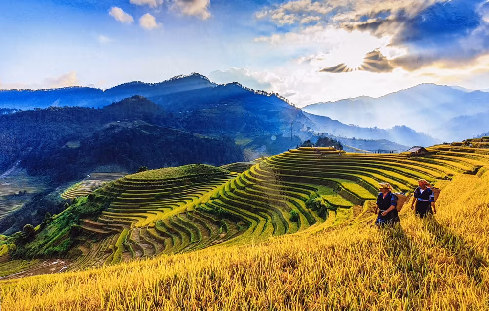 Rừng và ruộng bậc thang - nền tảng để Mù Cang Chải trở thành thiên đường du lịch Tây Bắc. Ảnh: Vũ Chiến