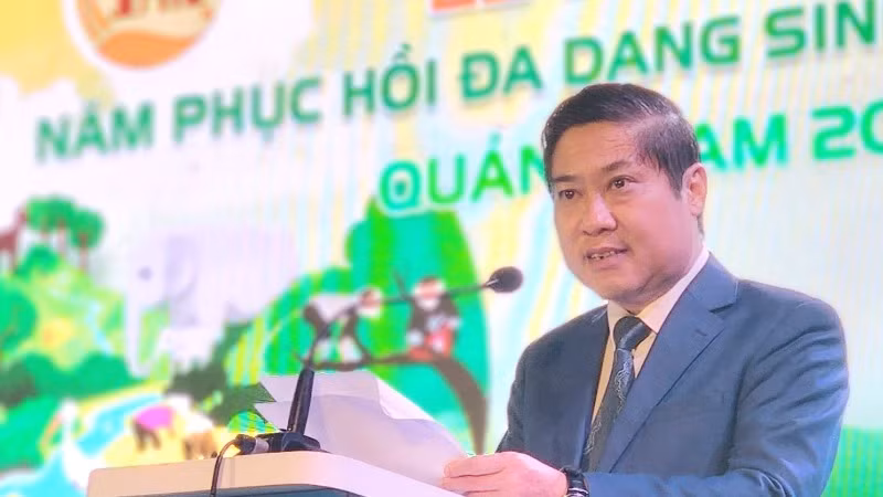Phó Chủ tịch Thường trực Ủy ban nhân dân tỉnh Phan Thái Bình phát biểu tại lễ bế mạc Năm phục hồi đa dạng sinh học quốc gia - Quảng Nam 2024. Phó Chủ tịch Thường trực Ủy ban nhân dân tỉnh Phan Thái Bình phát biểu tại lễ bế mạc Năm phục hồi đa dạng sinh học quốc gia - Quảng Nam 2024.