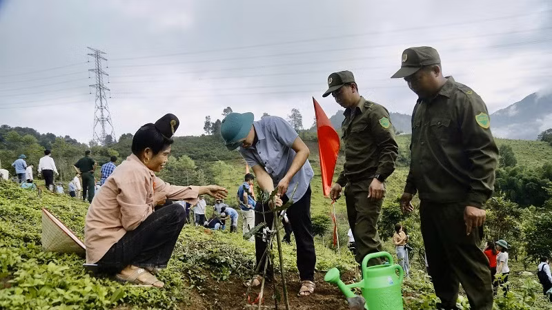Cán bộ, nhân dân huyện Tuần Giáo trồng cây mắc-ca hưởng ứng lễ ra quân trồng, chăm sóc mắc-ca do Ủy ban nhân dân huyện Tuần Giáo phát động.