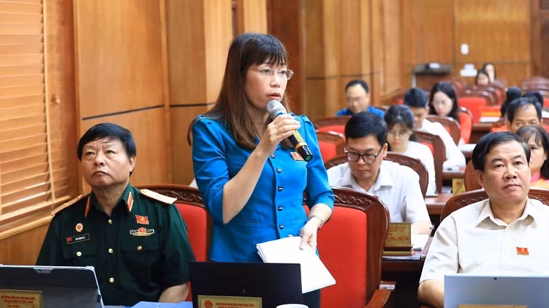 Đại biểu Cao Thị Tuyết Lan (huyện Điện Biên) bày tỏ băn khoăn khi việc nhập xã sẽ có thêm nhiều bản xa xôi.