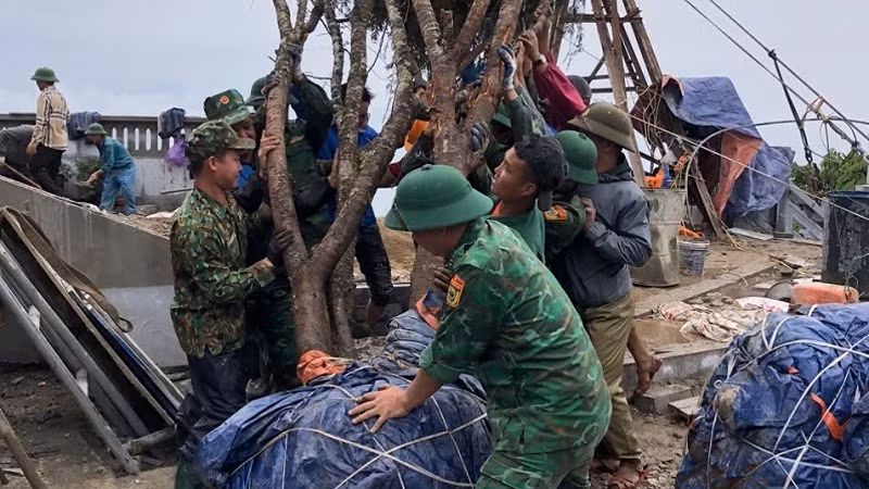 Đã rất nhiều ngày, các chiến sĩ biên phòng và đoàn viên thanh niên xã Sín Thầu phải dốc sức khiêng từng cây lên trồng quanh khuôn viên Cột cờ A Pa Chải. Đã rất nhiều ngày, các chiến sĩ biên phòng và đoàn viên thanh niên xã Sín Thầu phải dốc sức khiêng từng cây lên trồng quanh khuôn viên Cột cờ A Pa Chải.