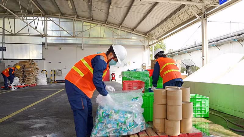 Phân loại rác thải tại nhà máy sữa của Friesland Campina Việt Nam. (Ảnh VÕ HÙNG) 