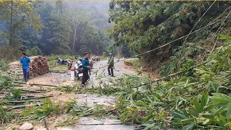 Các lực lượng ở huyện Quan Sơn phát quang tầm nhìn bên đường giao thông và bảo đảm hành lang an toàn truyền tải điện.