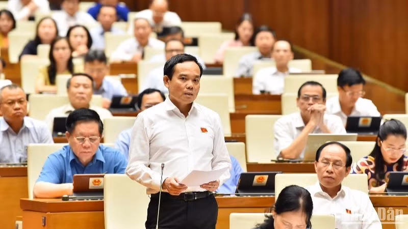 Phó Thủ tướng Chính phủ Trần Lưu Quang phát biểu tại phiên chất vấn sáng 7/6. (Ảnh: THỦY NGUYÊN) 