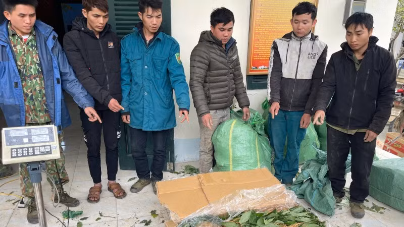 Các đối tượng và tang vật của vụ án.