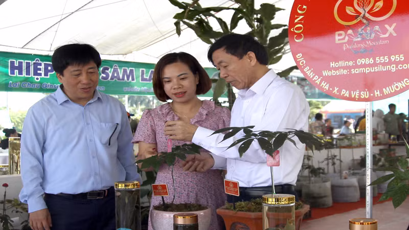 Sự kiện “Thúc đẩy liên kết vùng trong phát triển thương mại điện tử - Nâng tầm sản phẩm vùng trung du và miền núi phía bắc” sắp diễn ra tại Lai Châu.