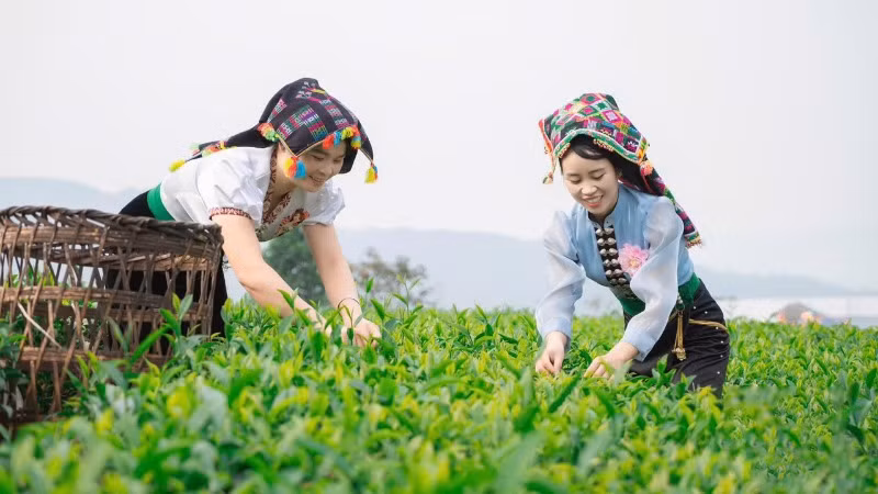 Lai Châu phát triển toàn diện, vững chắc. Lai Châu phát triển toàn diện, vững chắc.