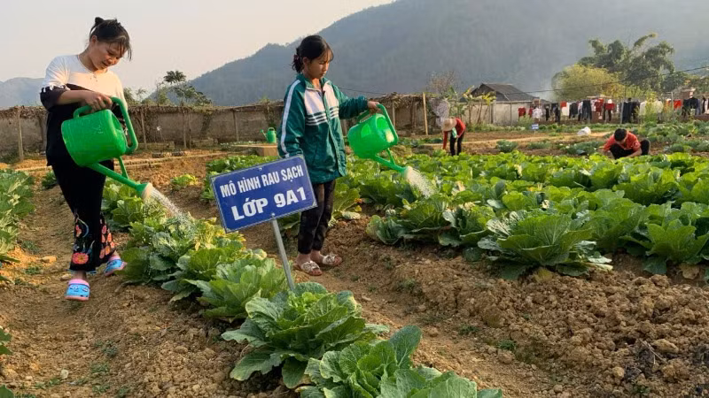 Mô hình Nông trại trường học điển hình của thầy và trò trường Phổ thông dân tộc bán trú Trung học cơ sở xã Tà Mùng, huyện Than Uyên. Mô hình Nông trại trường học điển hình của thầy và trò trường Phổ thông dân tộc bán trú Trung học cơ sở xã Tà Mùng, huyện Than Uyên.
