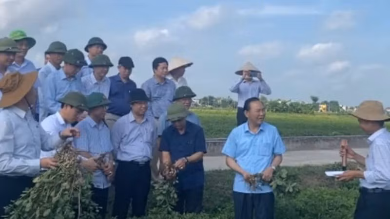 Cán bộ và người dân xã Yên Cường, huyện Ý Yên, tỉnh Nam Định trao đổi kinh nghiệm sản xuất nông nghiệp.