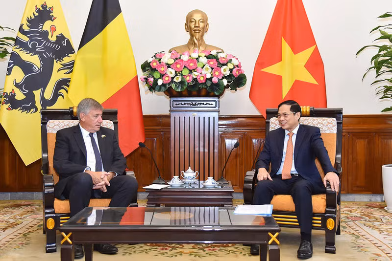 Bộ trưởng Ngoại giao Bùi Thanh Sơn tiếp Bộ trưởng-Thủ hiến vùng Flanders, Vương quốc Bỉ Jan Jambon.