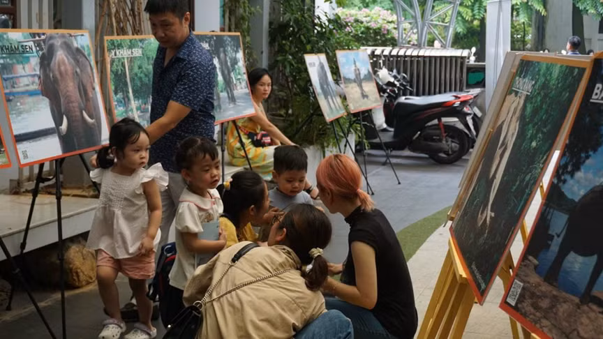 Các bạn nhỏ đều rất háo hức khi được chứng kiến và lắng nghe thêm nhiều câu chuyện về loài voi châu Á ở Việt Nam. Các bạn nhỏ đều rất háo hức khi được chứng kiến và lắng nghe thêm nhiều câu chuyện về loài voi châu Á ở Việt Nam.