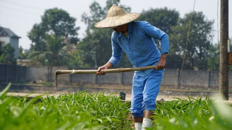 Tìm lại giá trị bản thân trong lao động. Tìm lại giá trị bản thân trong lao động.