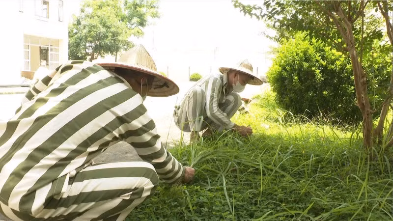 Yên tâm học tập, cải tạo đến những ngày cuối cùng trước khi công bố đặc xá. Yên tâm học tập, cải tạo đến những ngày cuối cùng trước khi công bố đặc xá.