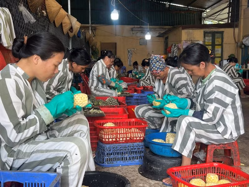 Các phạm nhân chưa được đề nghị xét đặc xá tiếp tục phấn đấu học tập, cải tạo tốt. Các phạm nhân chưa được đề nghị xét đặc xá tiếp tục phấn đấu học tập, cải tạo tốt.