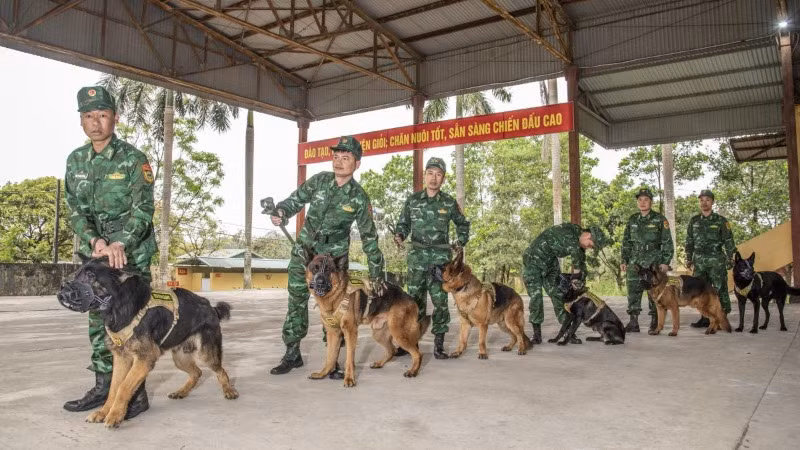 Các huấn luyện viên và chó nghiệp vụ trước giờ lên đường.