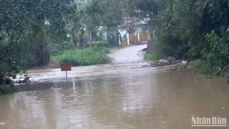Mưa lớn gây ngập tại cầu suối Tràu, xã Xuân Phước, huyện Đồng Xuân, Phú Yên.