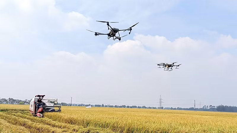 Nhiều chủ đại điền ở tỉnh Thái Bình đầu tư máy móc hiện đại sản xuất nông nghiệp quy mô lớn.