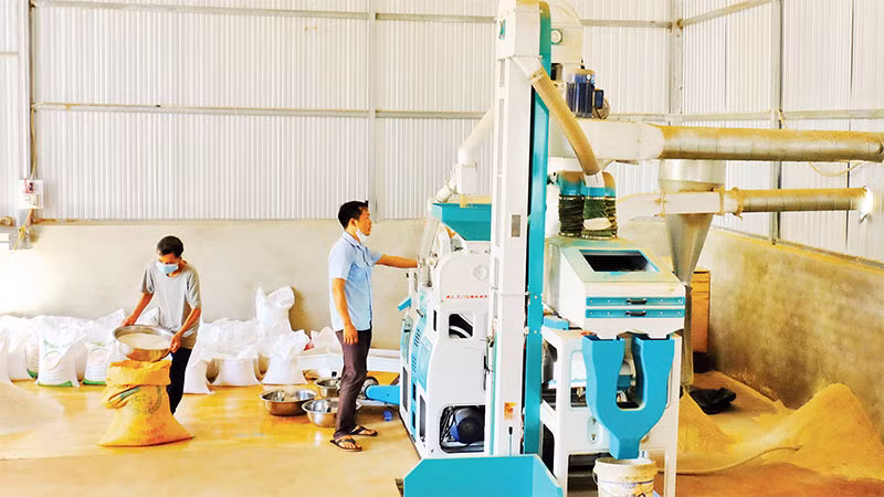 Đóng gói gạo Sóc Nê, một trong những sản phẩm OCOP tiêu biểu của huyện Bù Đốp, tỉnh Bình Phước.