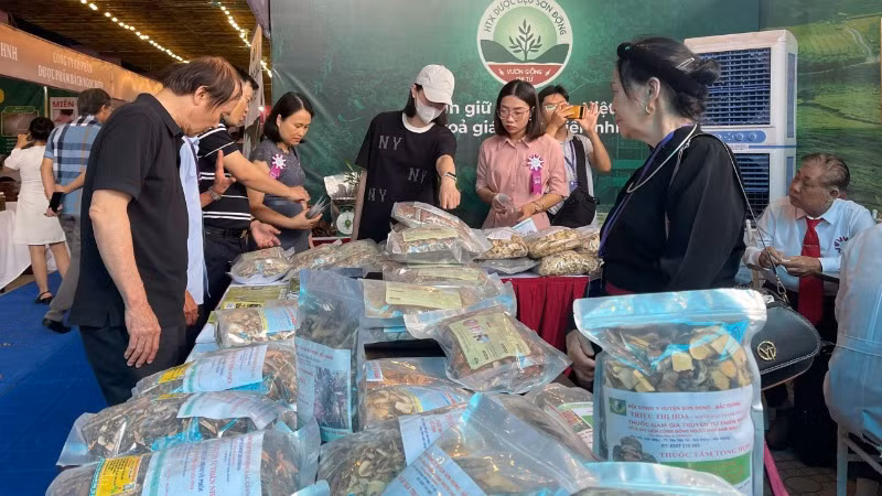 Nhiều loại dược liệu quý được giới thiệu tại hội chợ. Nhiều loại dược liệu quý được giới thiệu tại hội chợ.