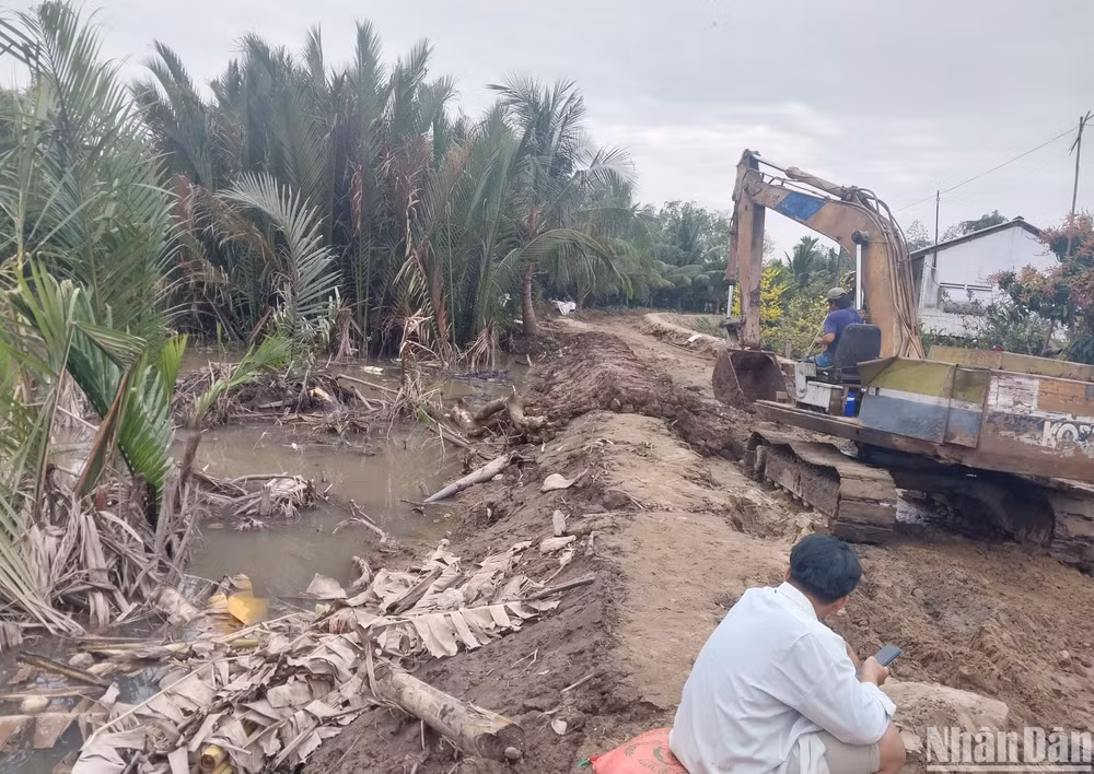 Phương tiện cơ giới đang gia cố đoạn đê bao xung yếu tại xã Ninh Thới, huyện Cầu Kè.