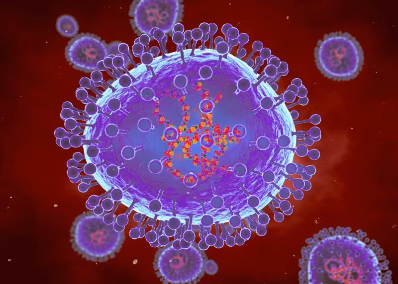 Minh họa máy tính về các hạt của metapneumovirus ở người (HMPV). (Ảnh: clinicaladvisor.com) Minh họa máy tính về các hạt của metapneumovirus ở người (HMPV). (Ảnh: clinicaladvisor.com)
