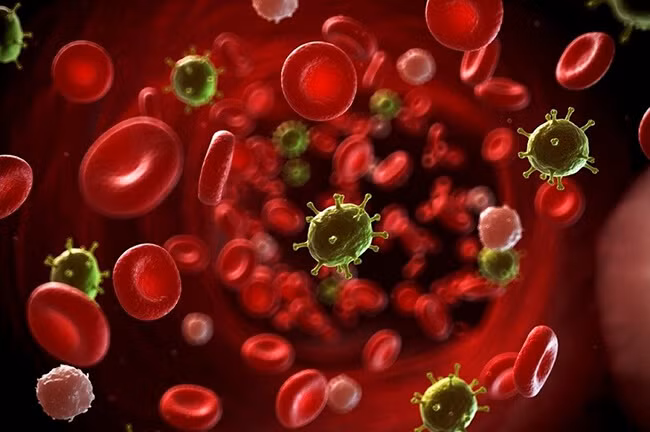 Nhiễm trùng huyết xảy ra khi virus, vi khuẩn, nấm, ký sinh trùng xâm nhập vào máu.