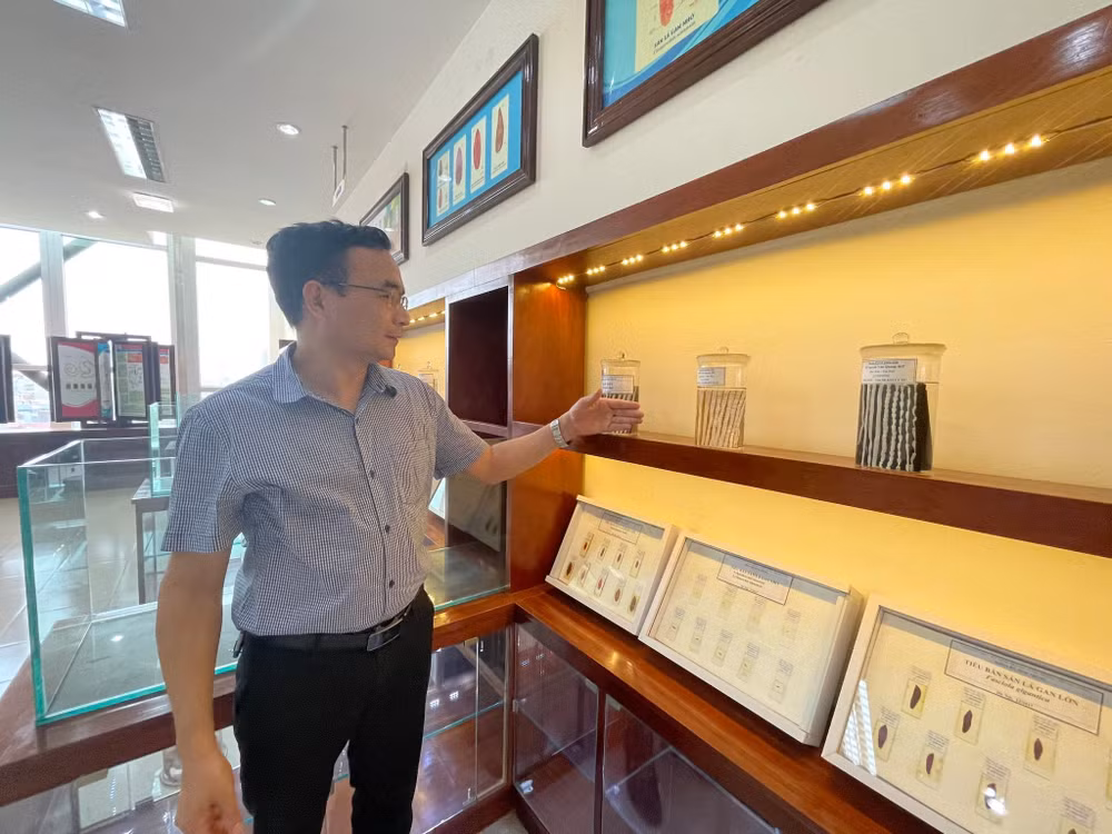 Phó Giáo sư, Tiến sĩ Đỗ Trung Dũng chia sẻ thông tin về bệnh sán. Phó Giáo sư, Tiến sĩ Đỗ Trung Dũng chia sẻ thông tin về bệnh sán.