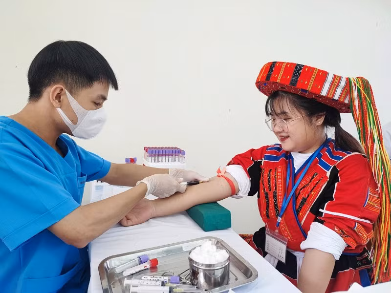 Em Dương Quỳnh Như Ngọc (dân tộc Pà Thẻn) lấy máu xét nghiệm sàng lọc.