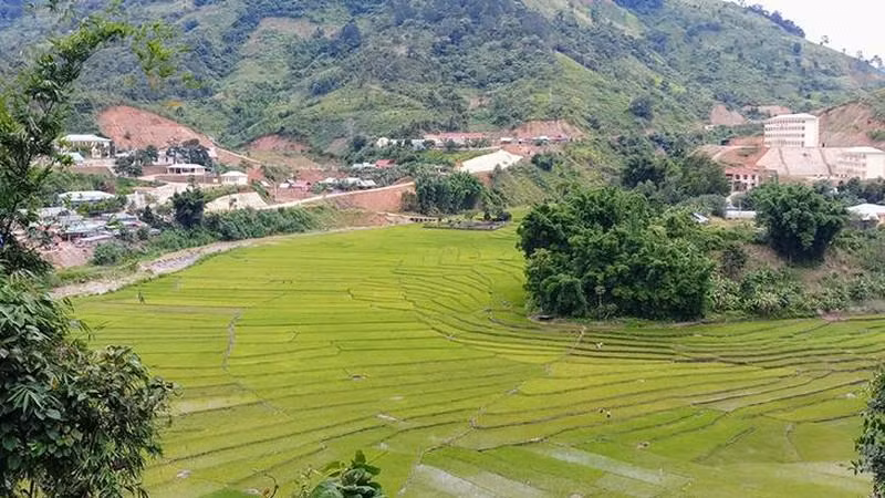 Cánh đồng lúa nước của đồng bào Cơ Tu ở xã A Xan, huyện miền núi Tây Giang, Quảng Nam. (Ảnh: Quốc Việt)